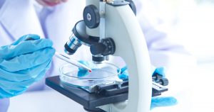 Preparing for IP School Science: What Sets It Apart