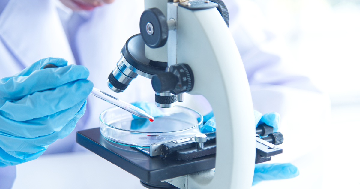 Preparing for IP School Science: What Sets It Apart